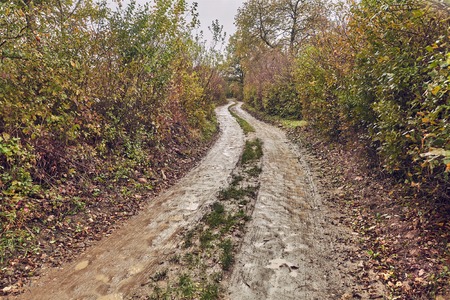 Dirtroad in the countrysideの写真素材