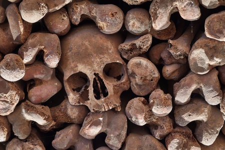 Skulls and bones in a wall
