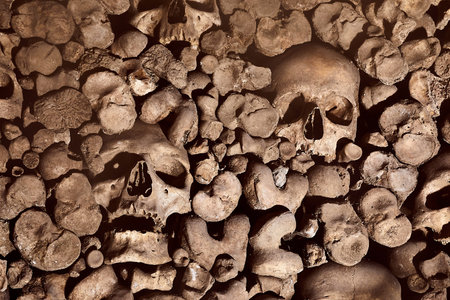 Skulls and bones in a wall