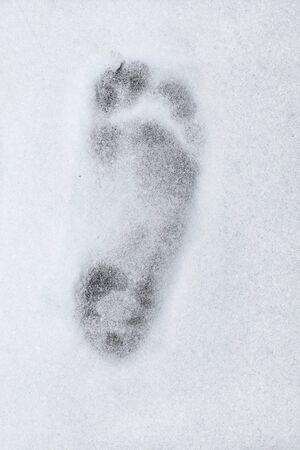 Footprint barefoot in snowの写真素材