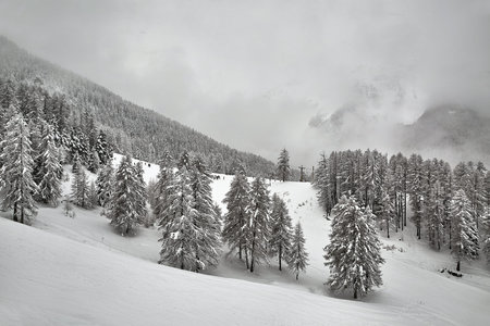 Skiing slopes, snowy Alpine landscape, mist overcas weather