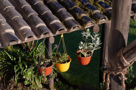 Flower pots and plants on a backyard terrace