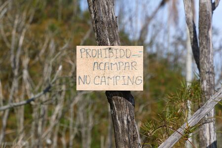 No camping sign on a tree in Spanish and Englishの写真素材
