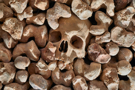 Skulls and bones in a wall