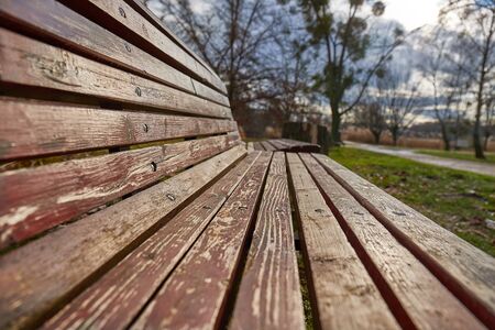 Park bench with in autumn sunshineの写真素材