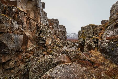 Thingvellir landscape in Iceland with rocky terrain, rift valleyの写真素材