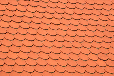 Roof tiles texture