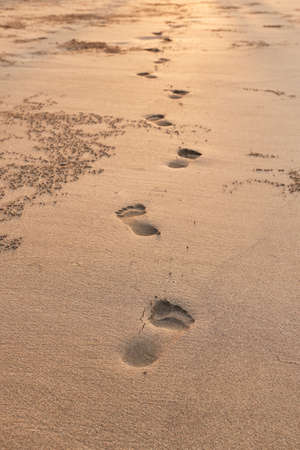 Footsteps in Sandの写真素材