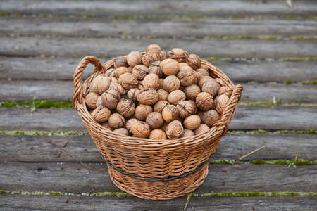 Walnuts in a basketの写真素材