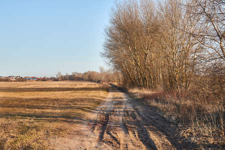 Countriside dirt road landscape, pale autumnの写真素材