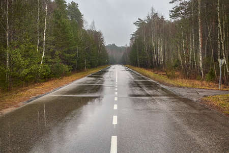 Autumn Wet Roadの写真素材