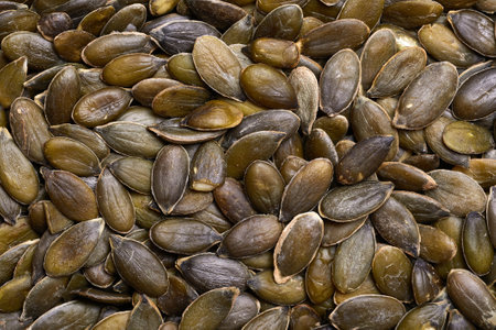 Pumpkin seeds pileの写真素材