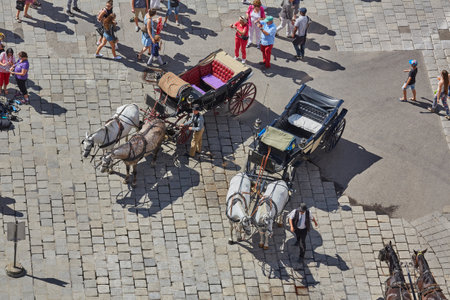 Horse carriages, Vienna, Austriaのeditorial素材