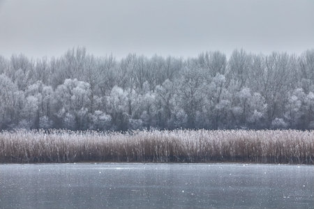 Skating on a lakeの写真素材