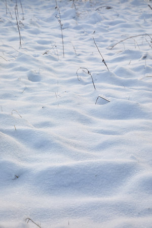 Fresh snow winter field backgroundの写真素材