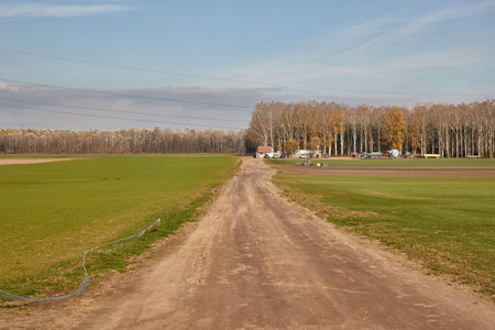 Agircutural field with dirt roadの写真素材