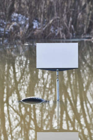 Empty sign on a landの写真素材