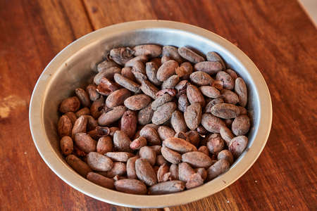 Cocoa beans picked by handの写真素材