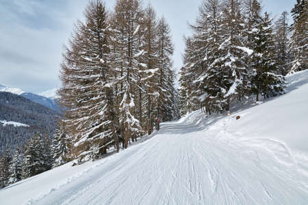 Winter Snowy Mountain Landscapeの写真素材