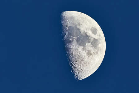 Moon detailed closeupの写真素材