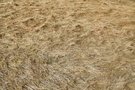 Haystack closeup textureの写真素材