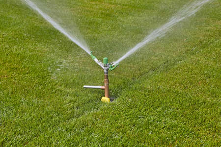 Garden sprinkler wateringの写真素材