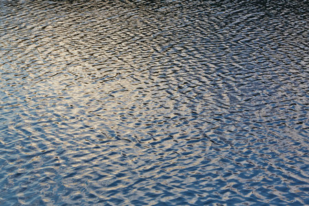 Water Surface Ripplesの写真素材