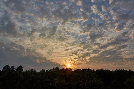 Sunset over distant treesの写真素材