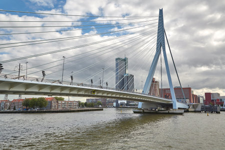 Rotterdam sightseeing boat tourの写真素材