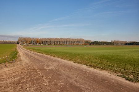 Agircutural field with dirt roadの写真素材