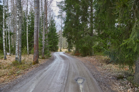 Dirtroad with melting snowの写真素材
