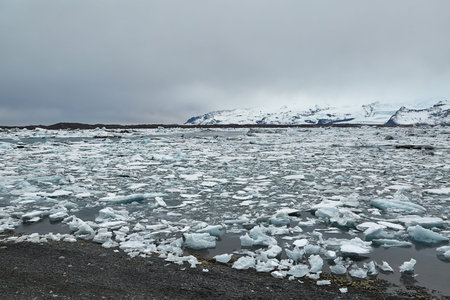 Glacial lake with icebergs
