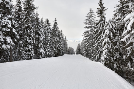 Winter Snowy Mountain Road Landscapeの写真素材