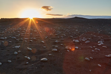 Iceland landscape black sand beach with stones and sunset flareの写真素材