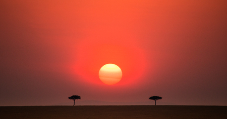 Sunset in the Maasai Mara National Park. Africa. Kenya.の写真素材