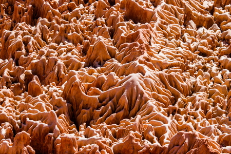 Red Tsingy. Typical landscape. Madagascar. An excellent illustration.の写真素材