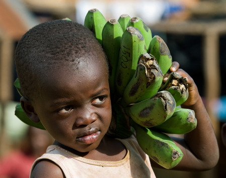 KISORO, UGANDA, AFRICA - DECEMBER 12, 2008: Kisoro. Uganda. Africa. The boy's portrait with a linking of bananas who goes to the market them to sell.のeditorial素材