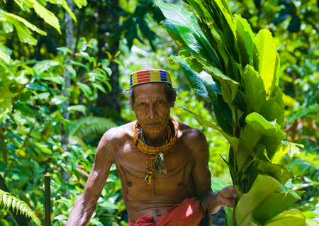 MENTAWAI PEOPLE, WEST SUMATRA, SIBERUT ISLAND, INDONESIA - 16 NOVEMBER 2010: Man Mentawai tribe in the jungle collecting plants.のeditorial素材