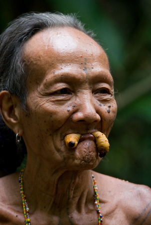MENTAWAI PEOPLE, WEST SUMATRA, SIBERUT ISLAND, INDONESIA - 16 NOVEMBER 2010: Man Mentawai tribe eating beetle larvae sago palm.のeditorial素材