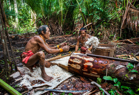 MENTAWAI PEOPLE, WEST SUMATRA, SIBERUT ISLAND, INDONESIA - 16 NOVEMBER 2010: Man Mentawai tribe in the jungle makes his clothes from the tree bark.のeditorial素材