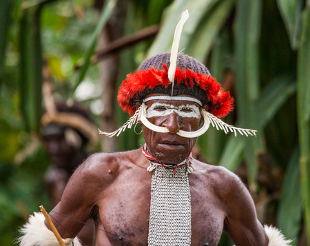 DANI VILLAGE, WAMENA, IRIAN JAYA, NEW GUINEA, INDONESIA - 25 JULY 2009: Dani tribe Warriors.のeditorial素材