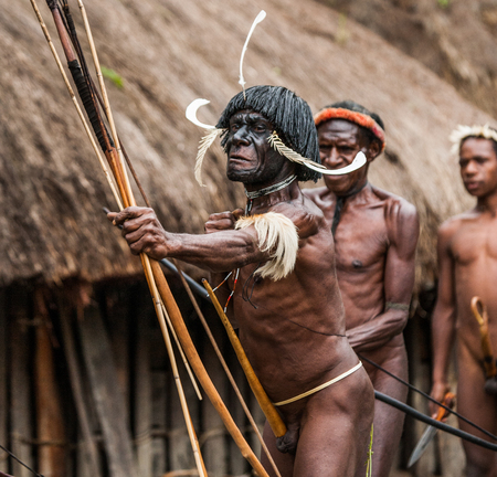 DANI VILLAGE, WAMENA, IRIAN JAYA, NEW GUINEA, INDONESIA - 15 MAY 2012: Men Dani tribe shoot an arrow.のeditorial素材