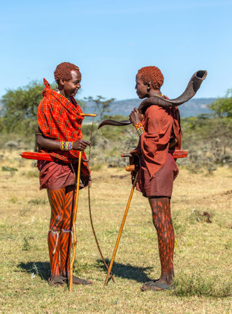 Two young Masai warriors in traditional dress are standing in the savannah and talking to each...