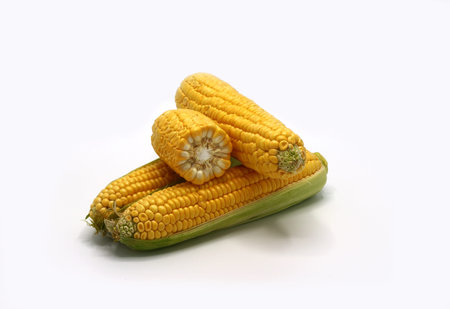 Several ears of corn on a light background. Natural product. Natural structure. Natural color....