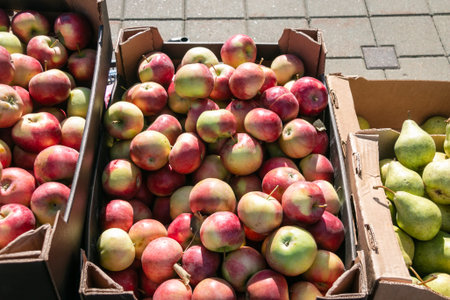 Apples and pears in cardboard boxes on the market. Collection and sale of apples and pears.
