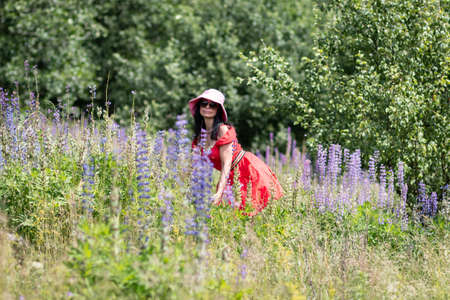 A girl in a pink hat, glasses and a red dress in a meadow among the flowers meadow of lupins. summer outdoor recreation.の写真素材