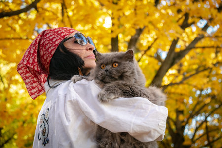 A girl with glasses and a white shirt holds a British long-haired cat against a background of yellow autumn maples. Blurred background. bokeh.の写真素材