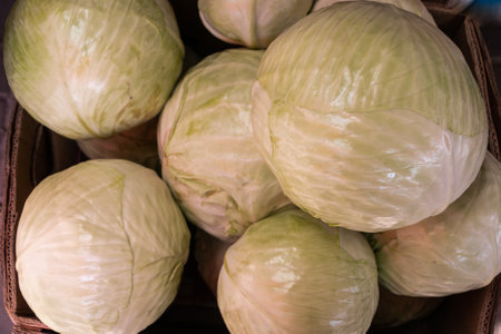 Fresh cabbages in a cardboard box close-up. Sale of vegetables at the farmers market.の写真素材