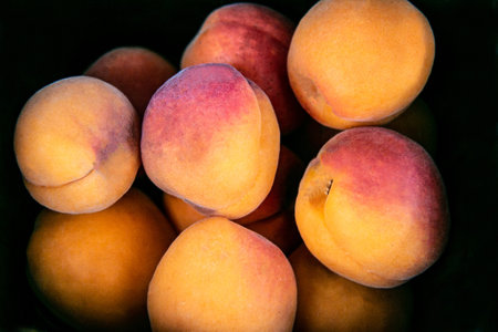 Ripe fresh peaches on a black background. beautiful peaches. close-upの写真素材