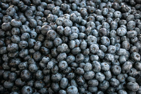 Background of ripe fresh blueberries. close-up. Selling blueberries at a farmers' market.の写真素材